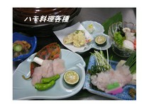 地魚料理 杉_各種hamo菜餚