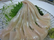 地魚料理 杉_各種海鰻料理