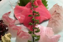 Japanese Restaurant Kisei_"Today's Sashimi" - extremely fresh, sourced from Toyosu Market