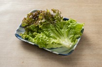 Aquatic Garden and Kyo Kaiseki Cuisine, Yakiniku, Nabe Cuisine - Isshin_Sunny Lettuce
