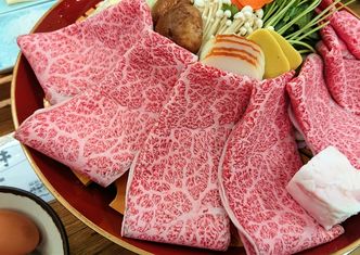 Aquatic Garden and Kyo Kaiseki Cuisine, Yakiniku, Nabe Cuisine -  Isshin