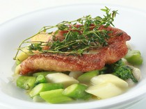 Trattoria 522_Enjoy the taste of the season with "Today's Fish Panfried with Seasonal Vegetable Sauce"