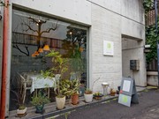Outside view