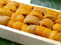 Izakaya Shishito_July to early October: Fresh sea urchin Saltwater sea urchin