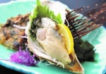 Hakodate Dining Gaya_
  Sashimi
  of Live Oyster