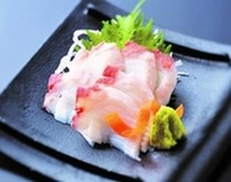 Hakodate Dining Gaya_
  Sashimi
  of Octopus from the Northern Sea