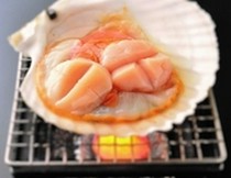 Hakodate Dining Gaya_
  Grilled
  Live Scallop