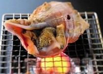 Hakodate Dining Gaya_
  Grilled
  Live Whelk