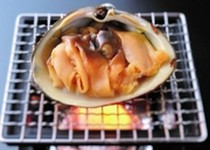 Hakodate Dining Gaya_
  Grilled
  Live Surf Cram