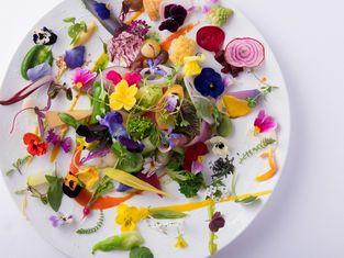 Au gout du jour merveille Hakata 
