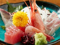 Shotaro_Chef's Choice Sashimi Assortment (1 serving) - Carefully selected seasonal fresh fish from all over Japan.