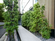 Outside view