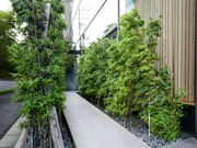 Outside view