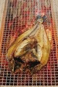 Hokkaido Sakaba Kita-no Kazoku Namba Sennichimae Branch_Thick and large grilled Atka mackerel