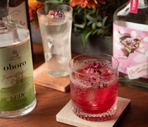 Tori no koku Bar Time to Drink_Japanese Craft Gin - A journey of flavors drawn by the delicate gin spun by Japan, it's a combination of artisanal skills and nature's bounty.