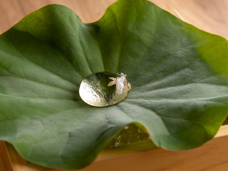 菜肴