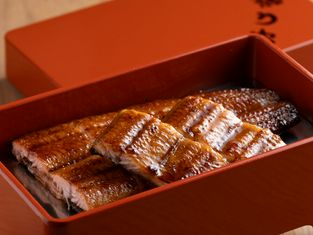 博多鳗鱼屋 藤那 天神本店