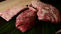  龙树牛肉品尝课程 