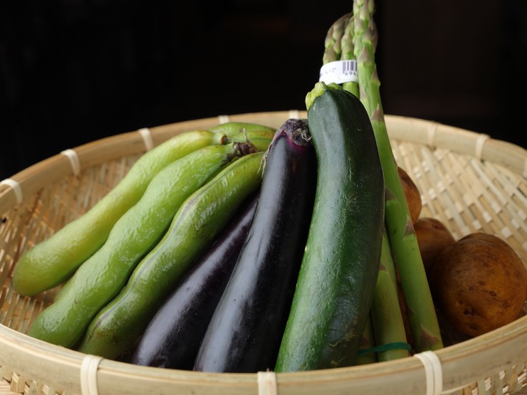 菜肴