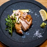  Domestic chicken 