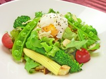  찐 닭과 온천 계란 시저 샐러드 
