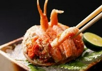  제철의 극한을 만끽할 수 있는 엄선 식재료를 다한 “오마카세 코스” 