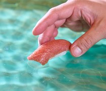  Fatty Tuna - An exquisite dish that brings a touch of elegance to the course. 