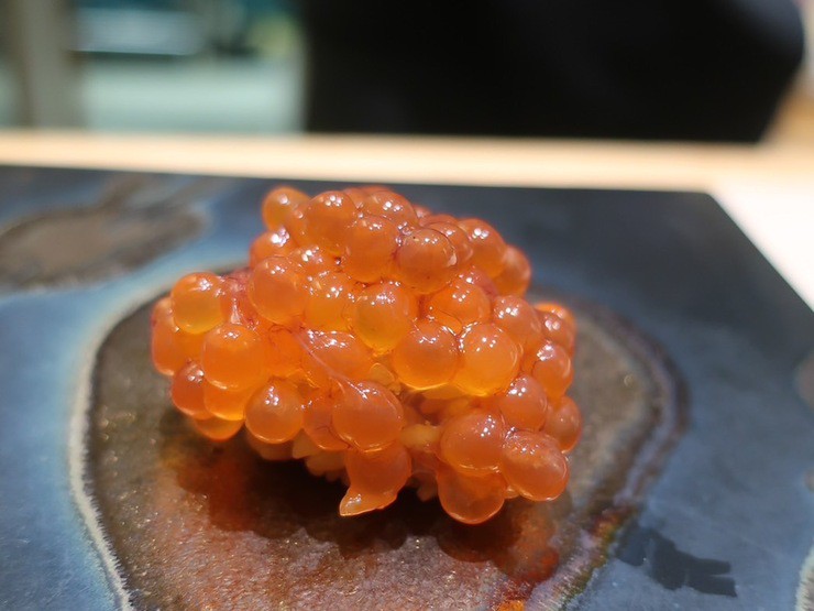 菜肴