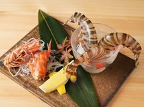  Seafood Sashimi - Guests can enjoy the flavors of premium seafood with all five senses 