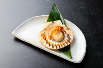  1 scallop in shell 