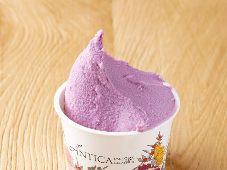 ANTICA GELATERIA SAPPORO Reservation in Susukino/Sweets - SAVOR JAPAN