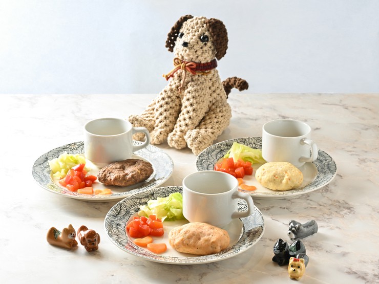 菜肴