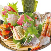 Chanko Sakaba Edosawa Ryogoku-Ekimae Branch_Five kinds of gorgeous sashimi made with seasonal fish from all over Japan (1 serving)