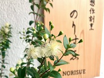 想作割烹  Norisue_午餐套餐