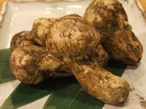 Dining Bar Hiro_New Matsutake mushrooms have arrived.