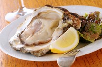 Dining Bar Hiro_Natural rock oysters shipped directly from all over Japan