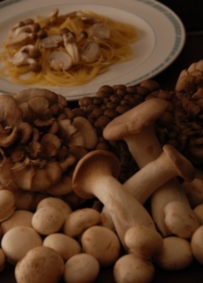 Cuisine