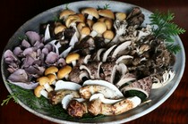  秋季限定！【炭烤野生蘑菇套餐】【寿喜烧野生蘑菇和飞騨牛肉套餐】 