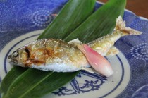  夏季是烤咸野生香鱼等河鱼料理最美味的季节！ 