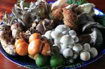  【主厨精选套餐】秋季：16,800日元（含税、服务费） 