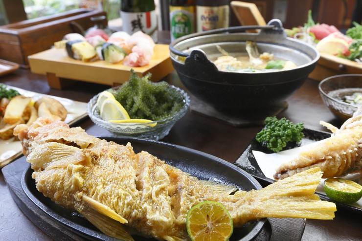  菜肴 