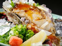 Shunsai Izakaya Furuichi Tsubogin_Rock oysters with ponzu jelly