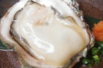 Sakanaya Ichiba Shokudo_Extra large natural oysters! Okinoshima "Rock Oysters"