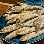 Wine Izakaya Charbon_ Deep-fried "Tosa's rare fish" Dongoro-washi