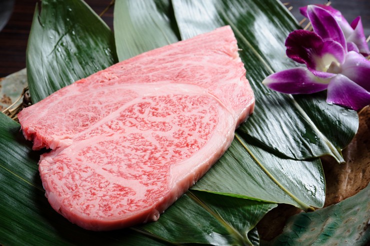  菜肴 
