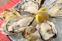 Oyster & Spanish Italian Bar Spiral_Raw oysters