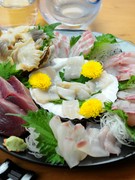 Fujimura_"Assorted Sashimi" - Savor the delicious moments of fresh seafood from Hachinohe Fishing Port