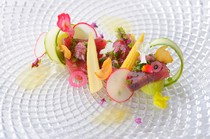 Ristorante Honda_Our seasonal "Early Bonito & Spring Eggplant Carpaccio with Ginger and White Balsamic Vinegar"