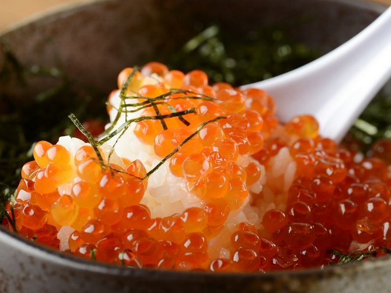 菜肴