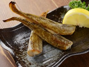 Izakaya Kushiroya